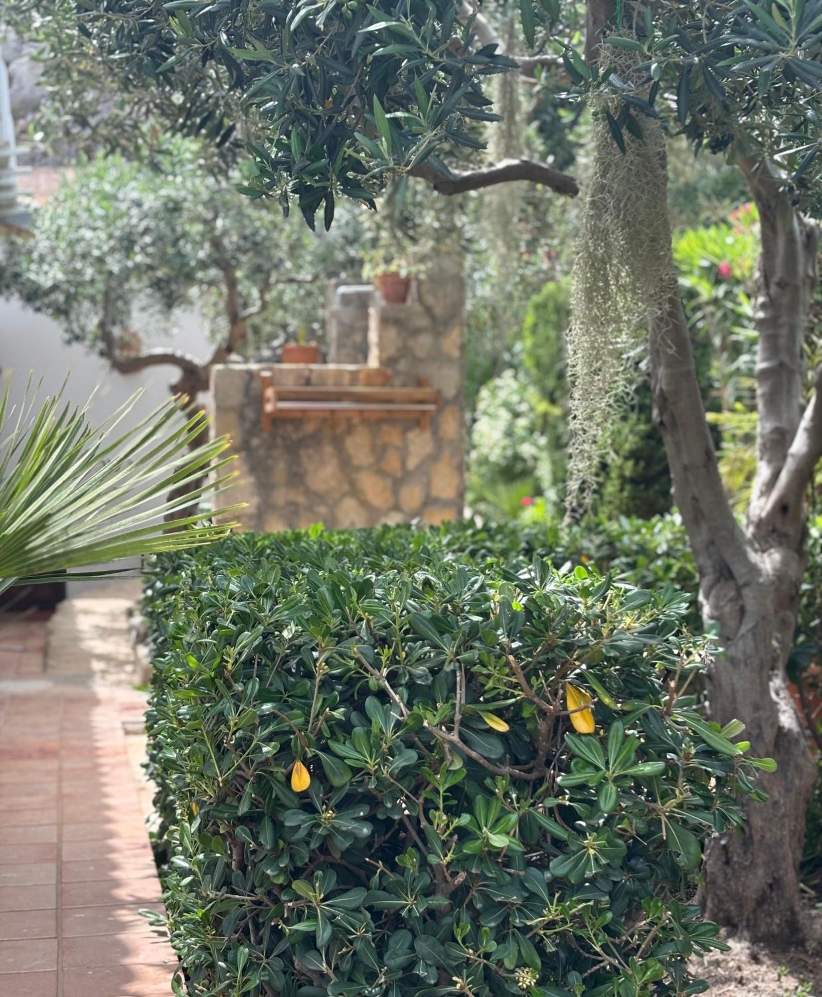 B&B Villa Alba San Vito Lo Capo Exterior foto